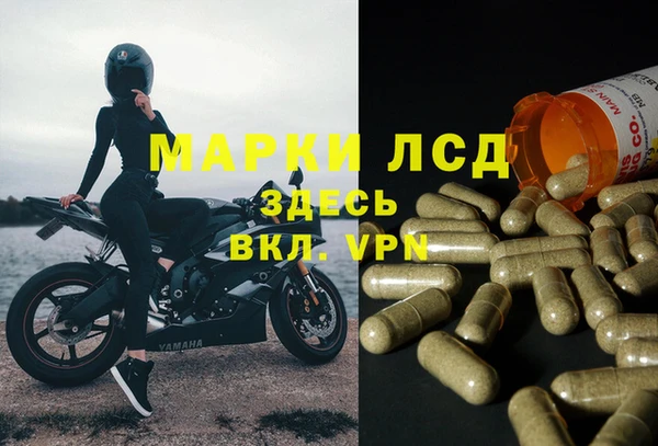 PSILOCYBIN Сясьстрой
