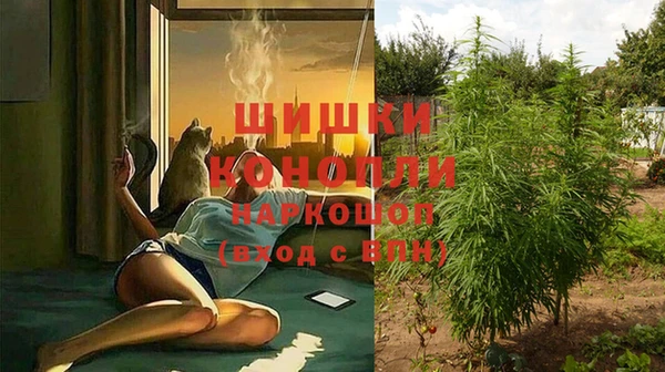гашик Нефтегорск