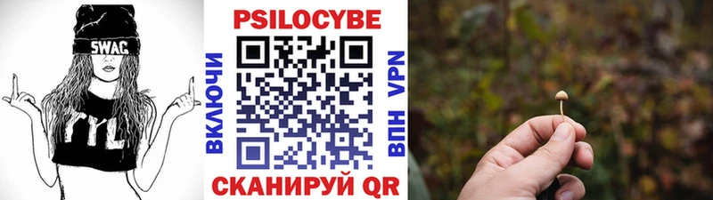 KRAKEN онион  Удачный  Псилоцибиновые грибы прущие грибы 